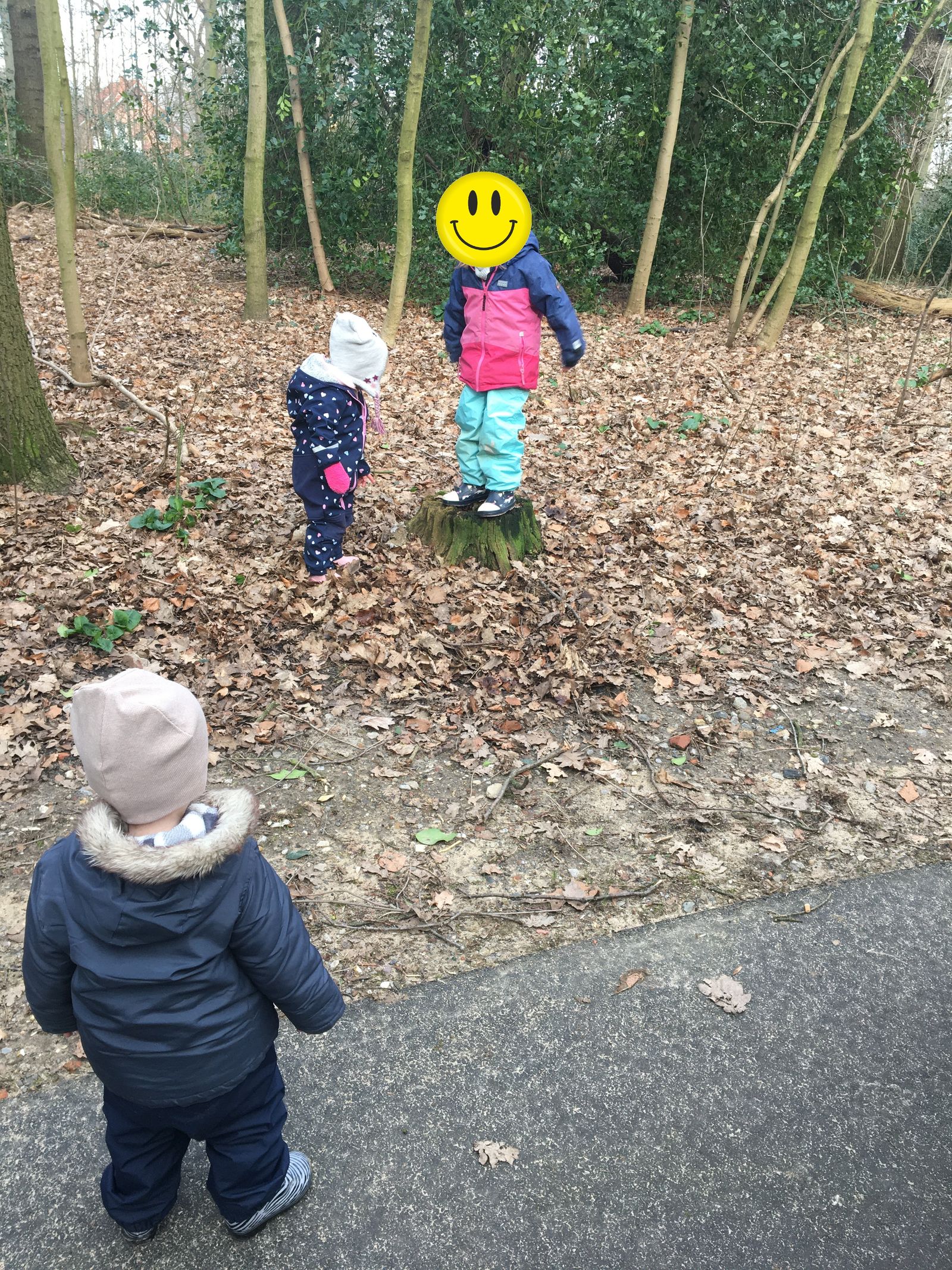 Einblick in das Zwergenstübchen